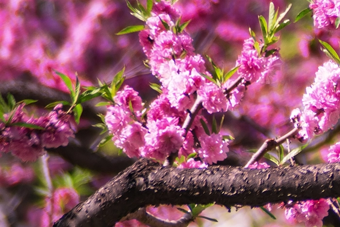 KOKORO Physical Training und Yoga