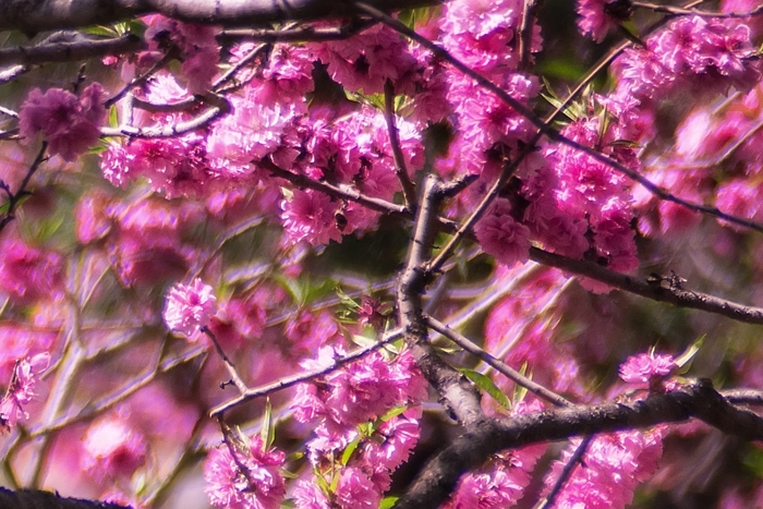 KOKORO Physical Training und Yoga